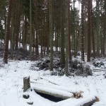 20150130_124513
